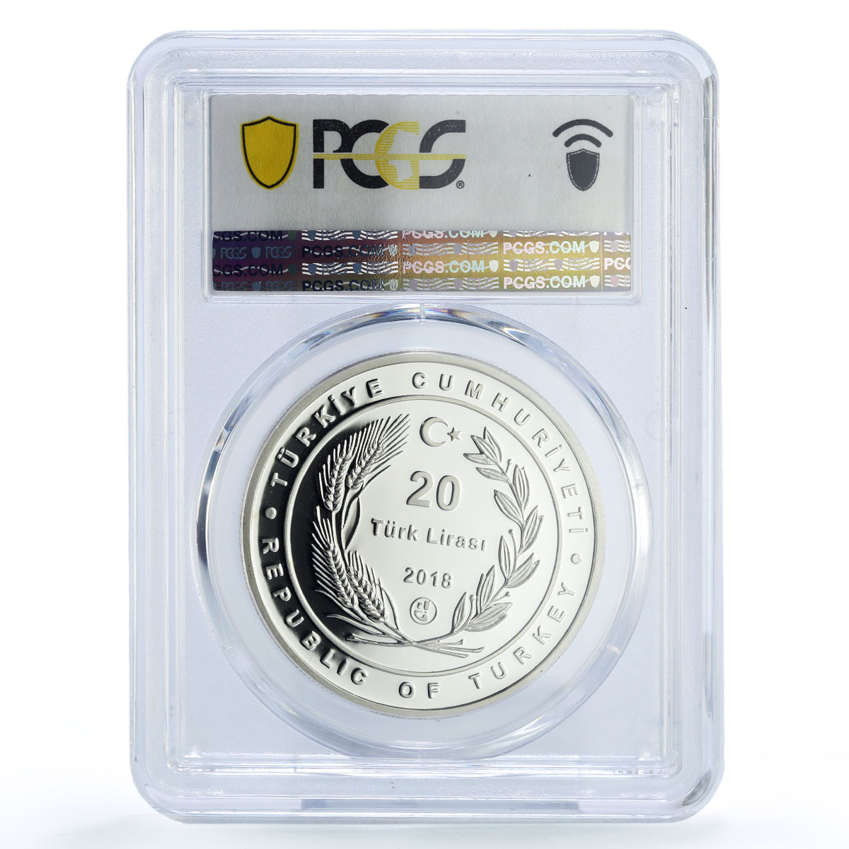 Turkiye 20 lira Zagan Pasha Mosque Islam Architecture PR69 PCGS silver coin 2018