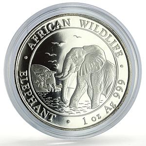 Somalia 100 shillings African Wildlife Elephant Fauna proof silver coin 2010