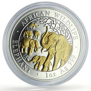 Somalia 100 shillings African Wildlife Elephant Fauna Gilt silver coin 2008