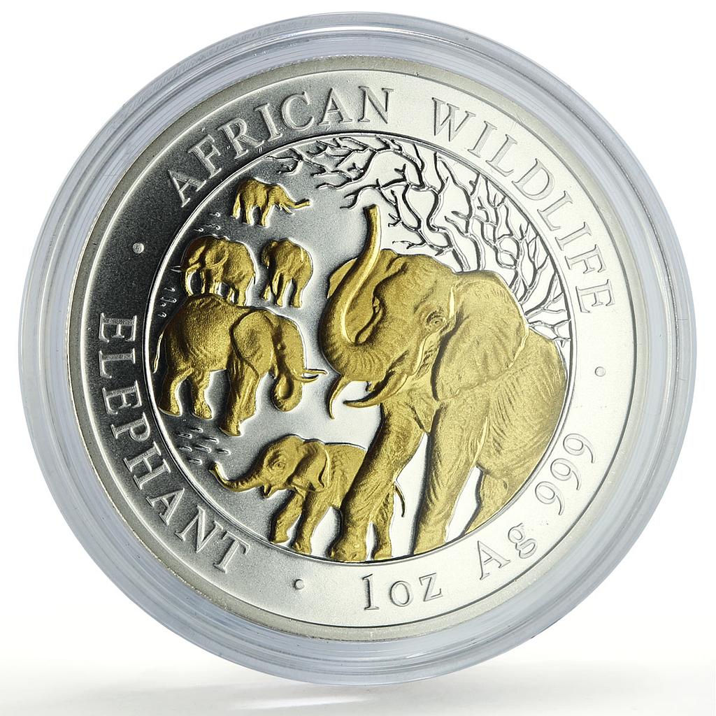 Somalia 100 shillings African Wildlife Elephant Fauna Gilt silver coin 2008