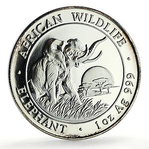 Somalia 100 shillings African Wildlife Elephant Fauna silver coin 2009