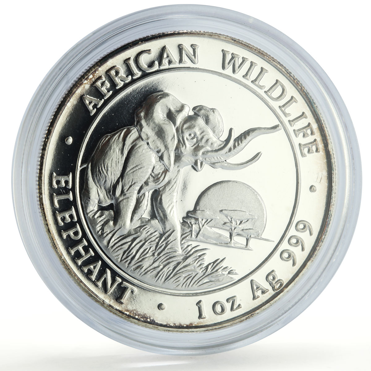 Somalia 100 shillings African Wildlife Elephant Fauna proof silver coin 2009