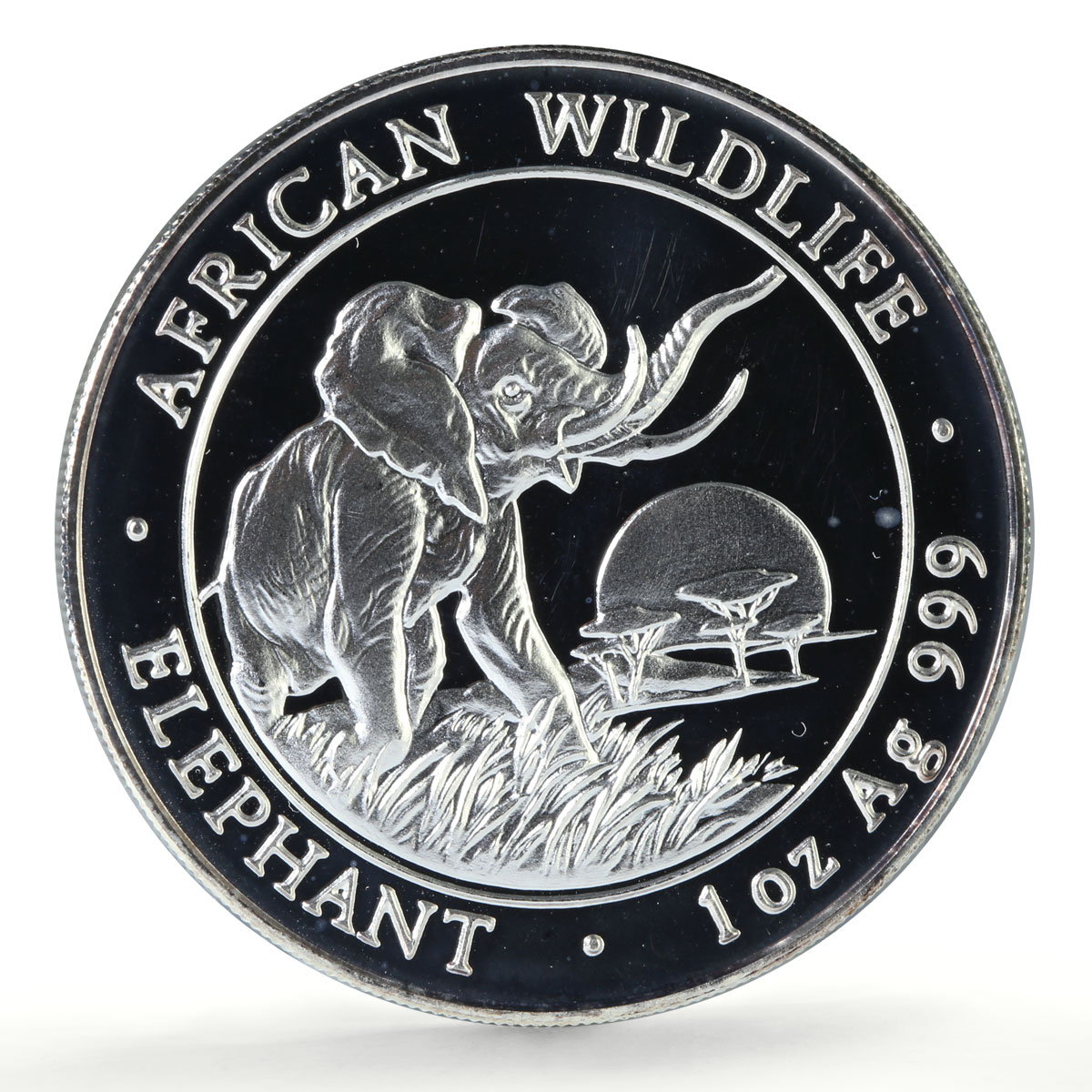 Somalia 100 shillings African Wildlife Elephant Fauna proof silver coin 2009