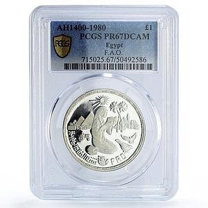 Egypt 1 pound FAO World Food Day Rural Women PR67 PCGS silver coin 1980