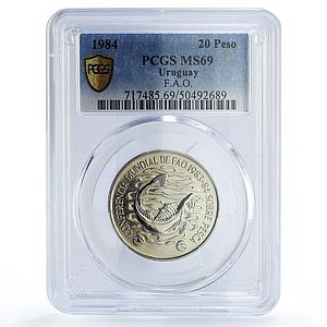 Uruguay 20 pesos FAO World Food Day Conference Fish MS69 PCGS CuNi coin 1984