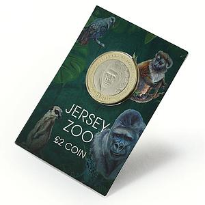 Jersey 2 pounds Zoo 60th Anniversary Gorilla Monkey Fauna bimetal coin 2019