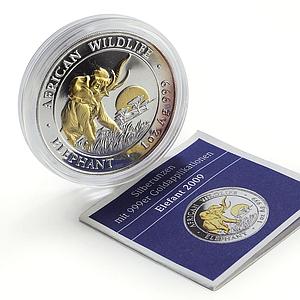 Somalia 100 shillings African Wildlife Elephant Fauna Gilt silver coin 2009