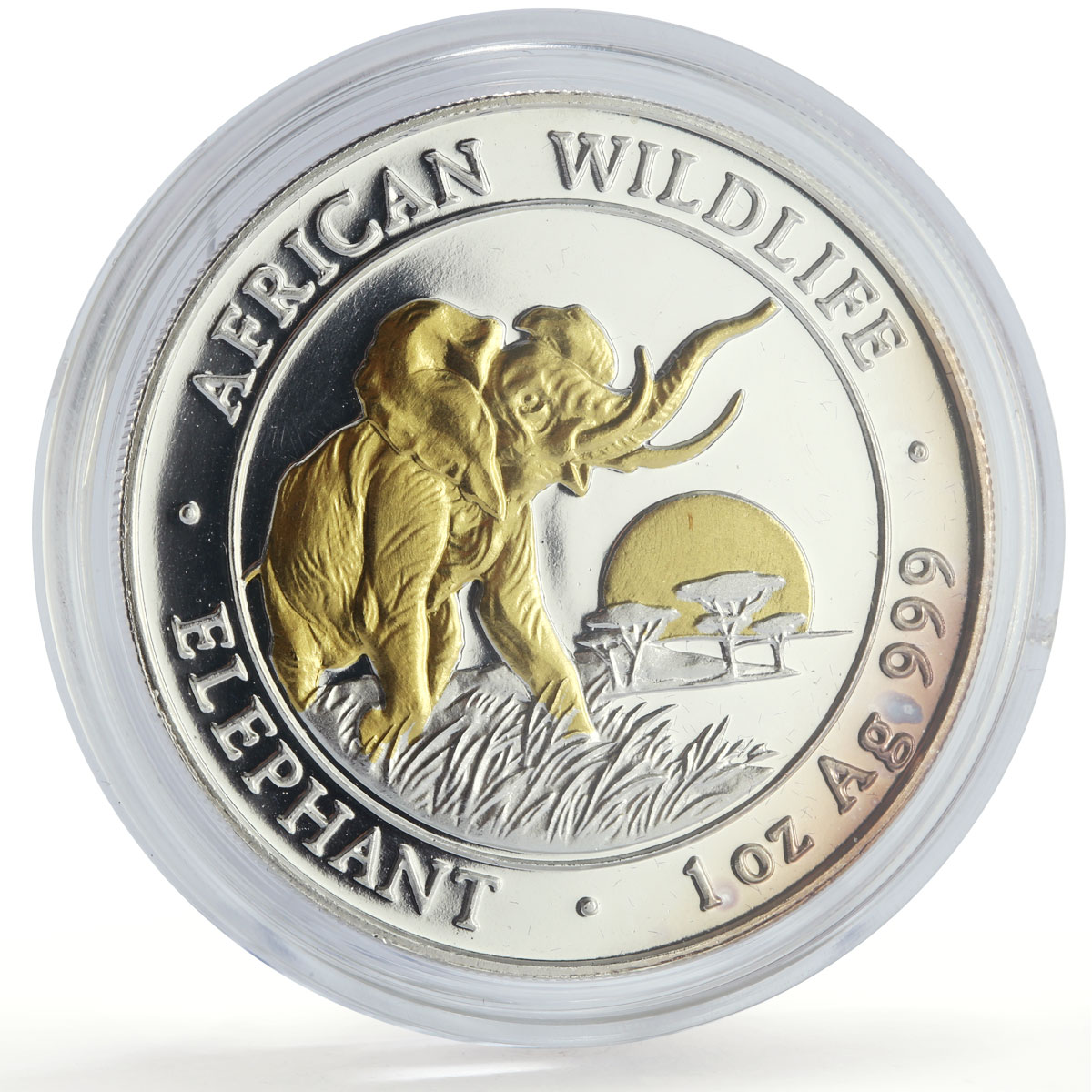Somalia 100 shillings African Wildlife Elephant Fauna Gilt silver coin 2009