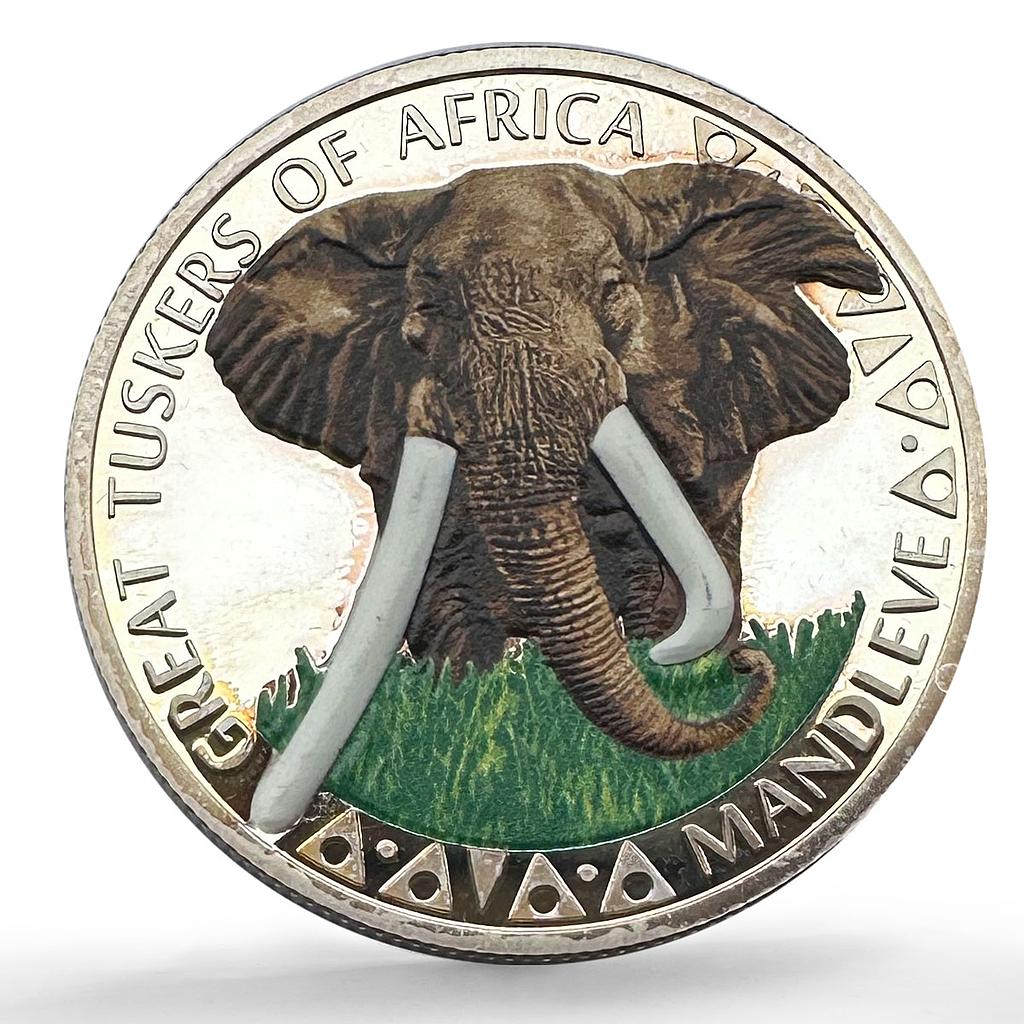 Cameroon 1000 francs African Great Tuskers Elephant Pattern silver coin No Date
