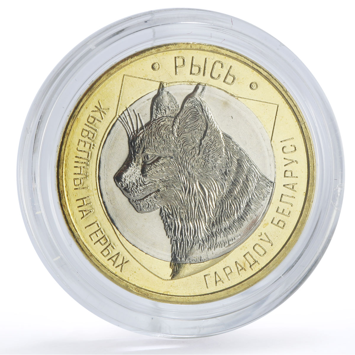Belarus 2 roubles x 5 Set Bison Deer Lion Lynx Wolf Animals Fauna coins 2021