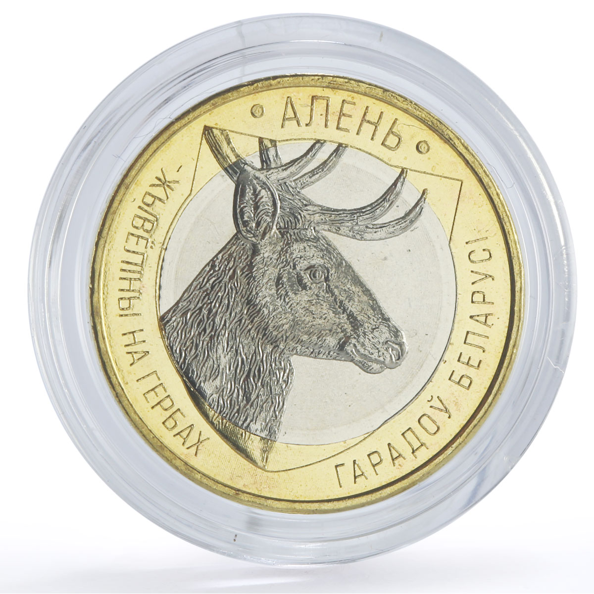 Belarus 2 roubles x 5 Set Bison Deer Lion Lynx Wolf Animals Fauna coins 2021