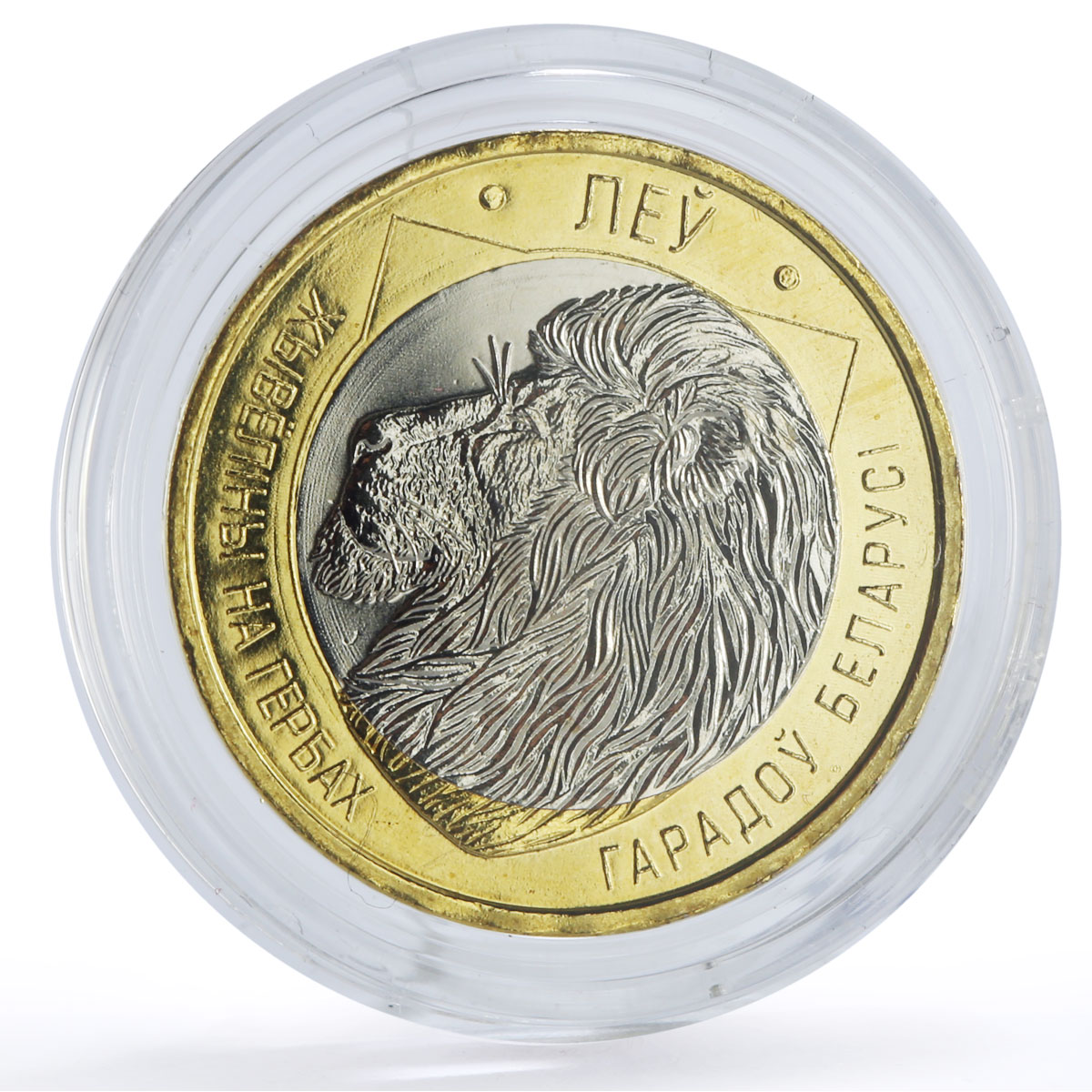 Belarus 2 roubles x 5 Set Bison Deer Lion Lynx Wolf Animals Fauna coins 2021