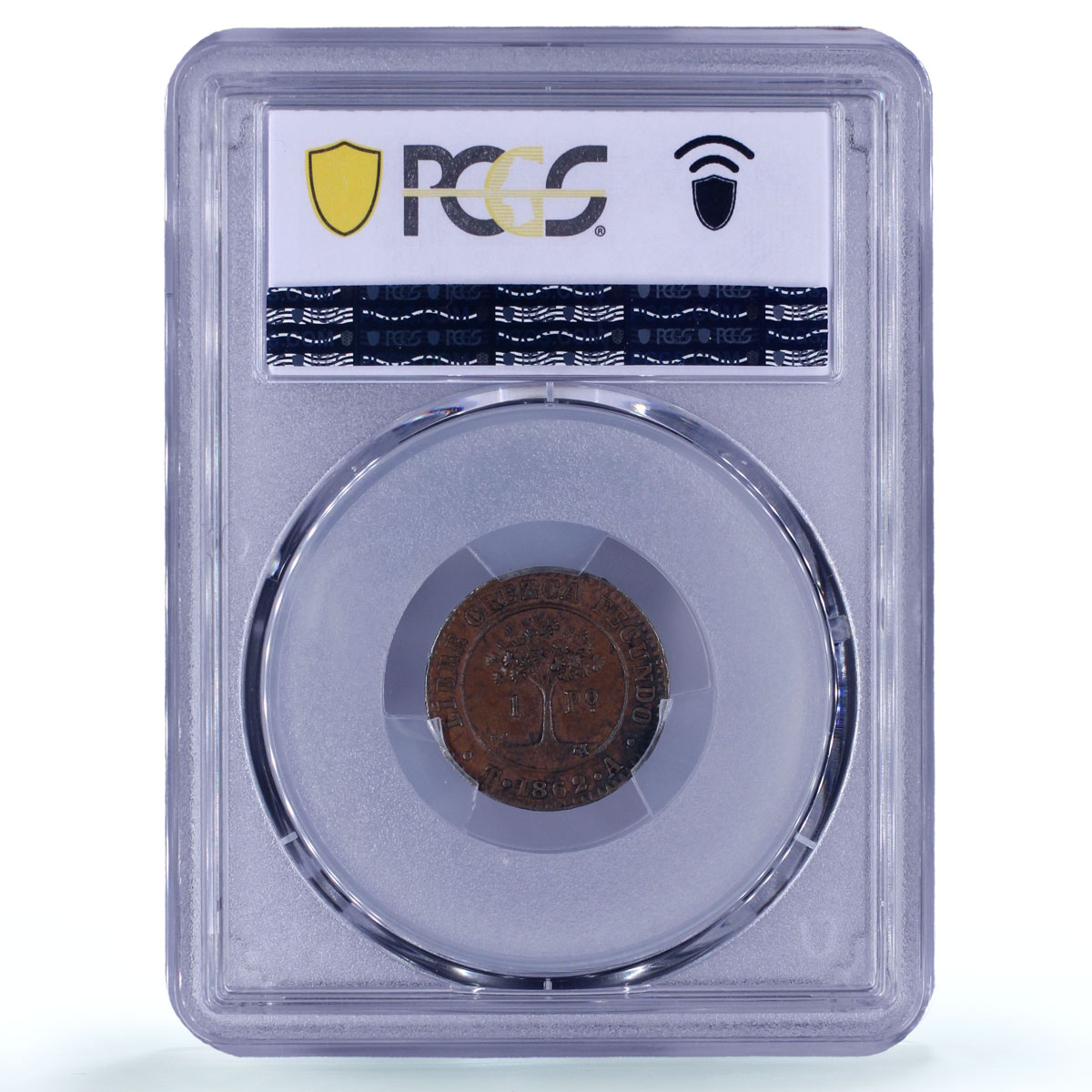Honduras 1 peso Provisional Coinage Tree KM-24 AU58 PCGS copper coin 1862