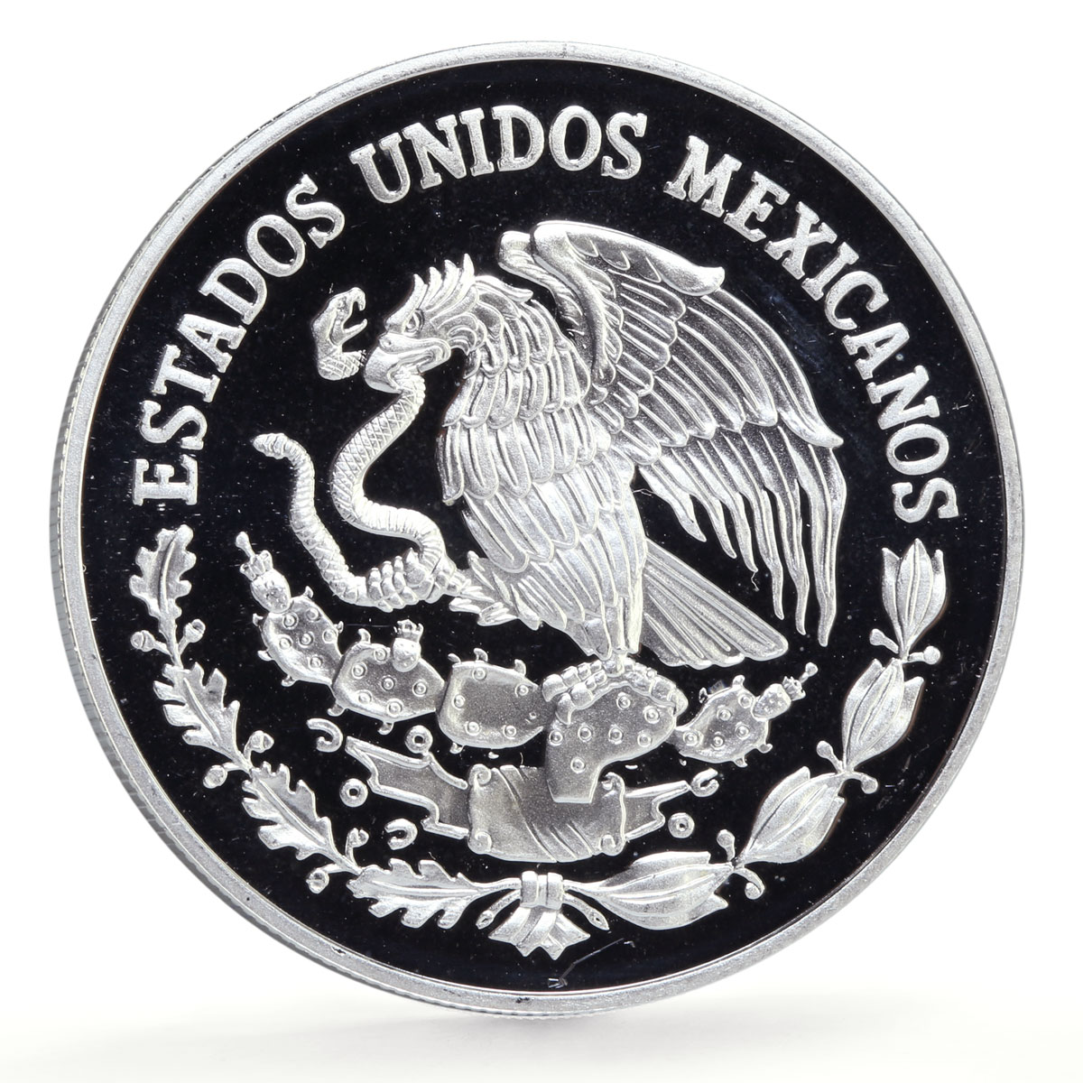 Mexico 100 pesos United Nations UNEP Vaquita Porpoise proof silver coin 1992