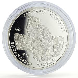 Namibia 10 dollars Rock Hyrax Wildlife Conservation Fauna proof silver coin 2009