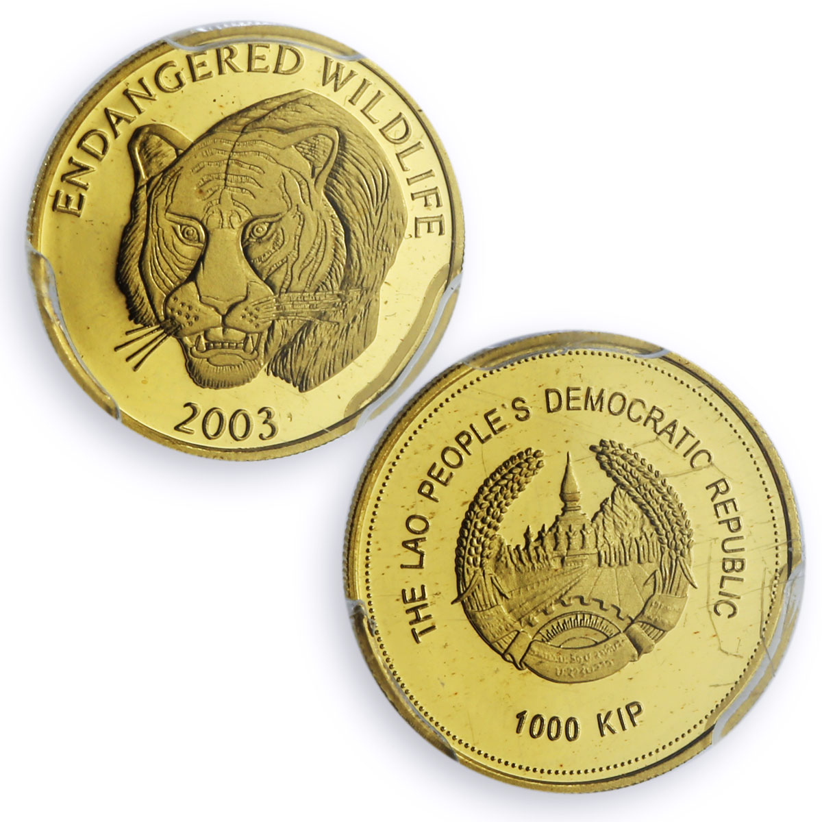 Laos 1000 kip Tiger Wildlife Conservation Animals Fauna PR69 PCGS gold coin 2003