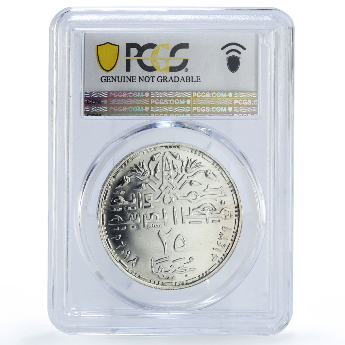 Egypt 25 pounds Martyrs History Religion Politics UNC PCGS silver coin 2018