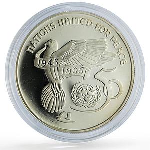 Ireland 1 pound United Nations UN Dove Birds History proof silver coin 1995