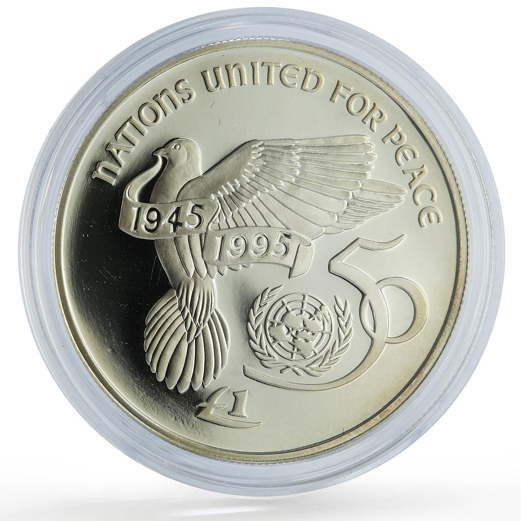 Ireland 1 pound United Nations UN Dove Birds History proof silver coin 1995