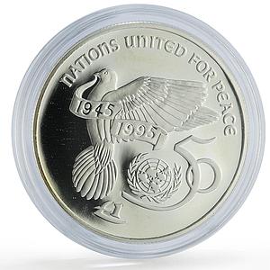 Ireland 1 pound United Nations UN Dove Birds History proof silver coin 1995