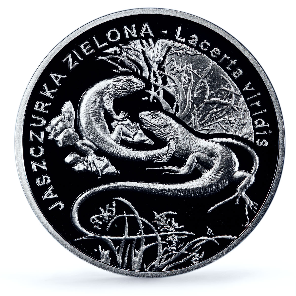 Poland 20 zlotych Jaszczurka Lizards Animals Fauna PR70 PCGS silver coin 2009