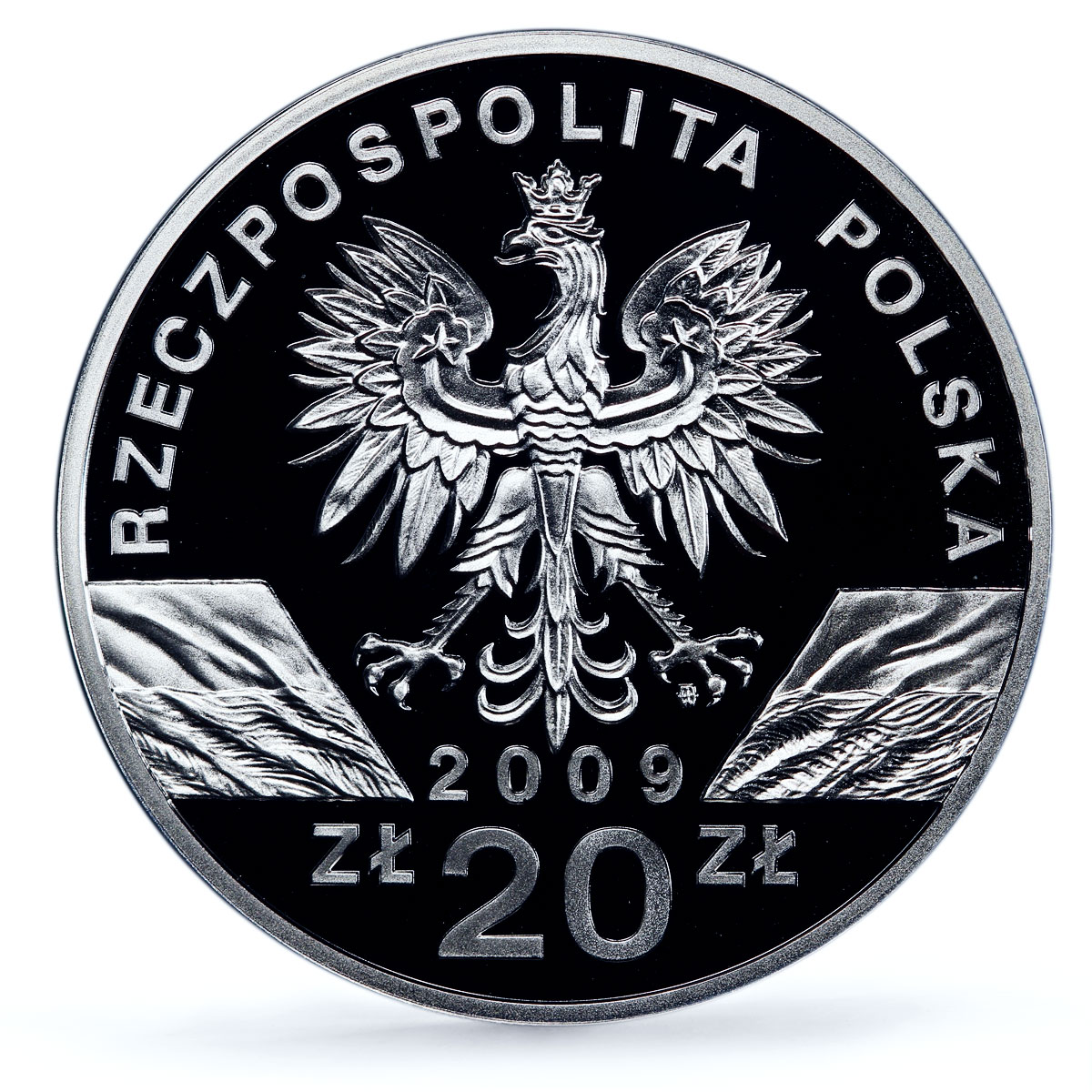 Poland 20 zlotych Jaszczurka Lizards Animals Fauna PR70 PCGS silver coin 2009