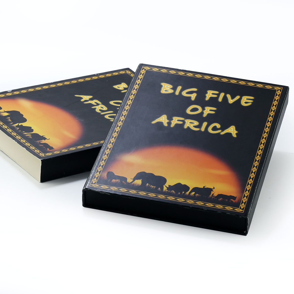 Congo set 5 coins Big Five African Animals colored silver coins 2008