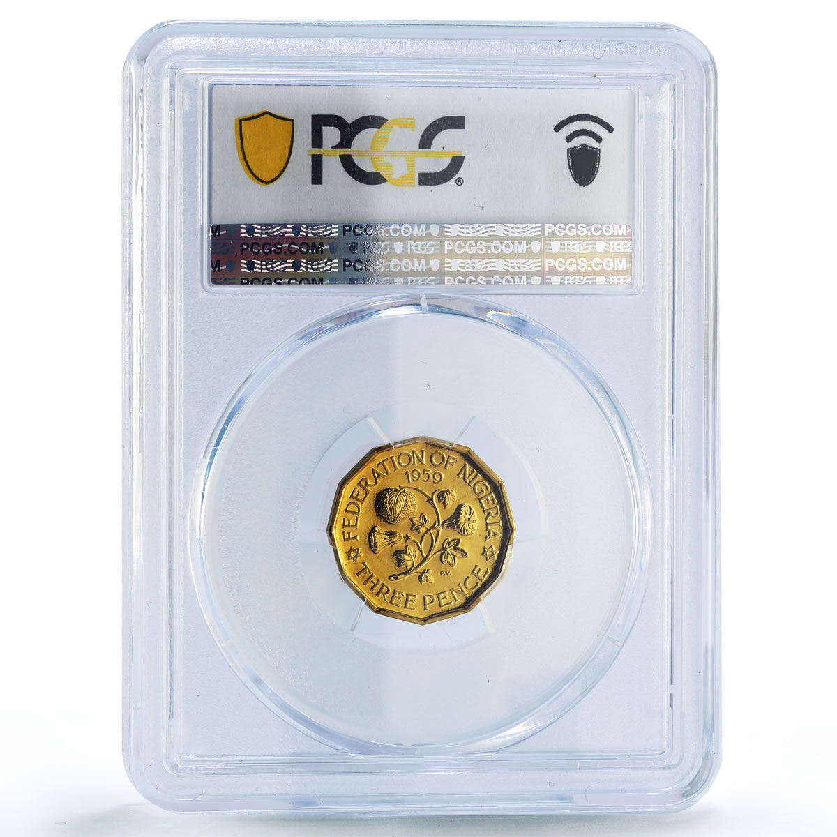 Nigeria 3 pence Federation Coinage Queen Elizabeth PR66 PCGS bronze coin 1959