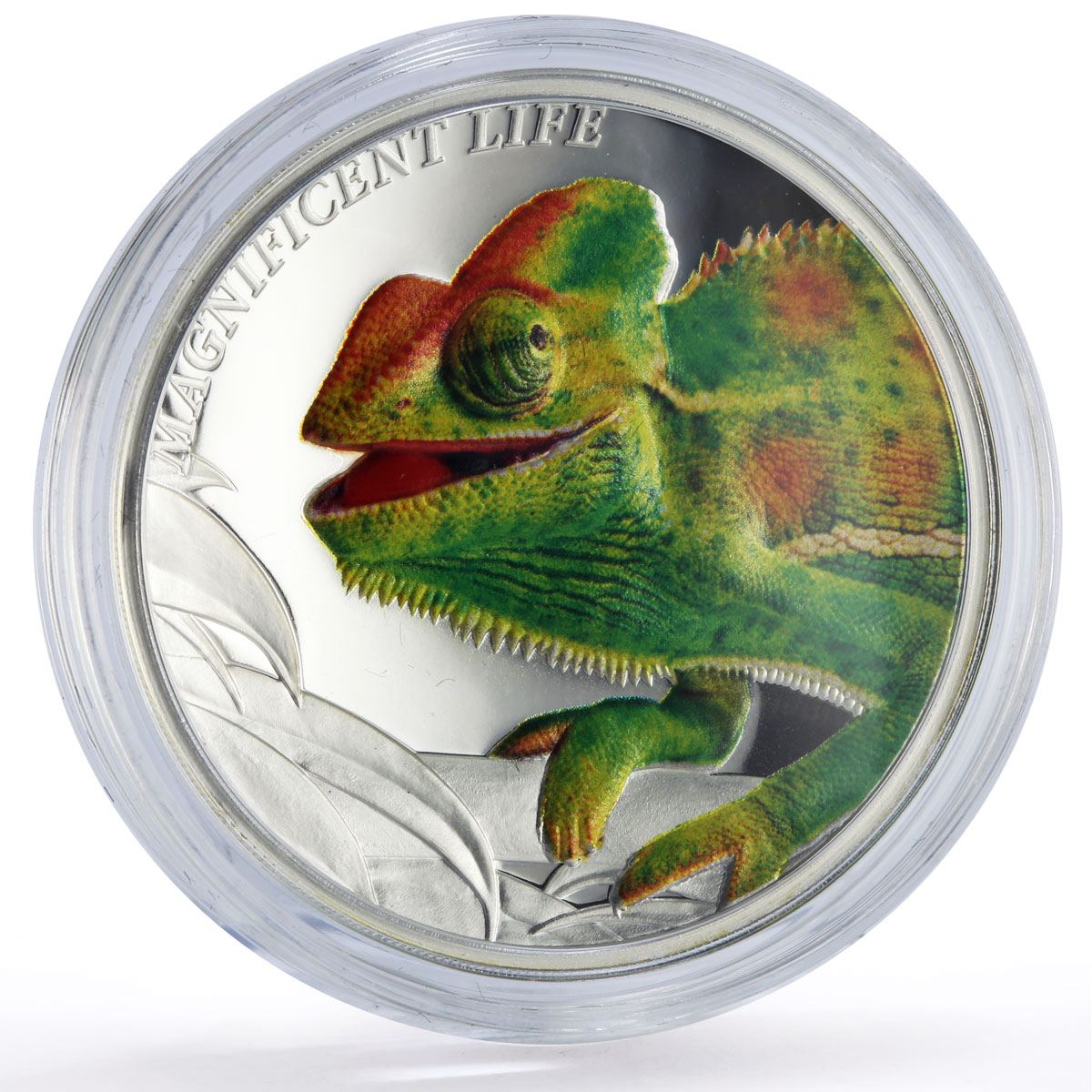 Cook Islands 5 dollars Chameleon Lizard Magnificent Life Fauna silver coin 2020
