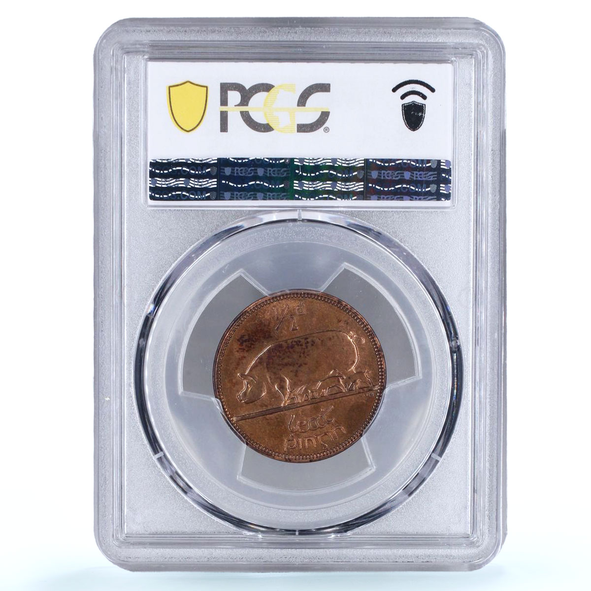 Ireland 1/2 penny phingin Free State Coinage Pig PR64 PCGS bronze coin 1928