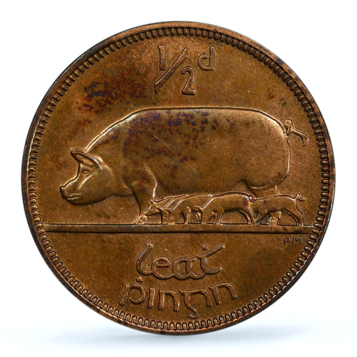 Ireland 1/2 penny phingin Free State Coinage Pig PR64 PCGS bronze coin 1928