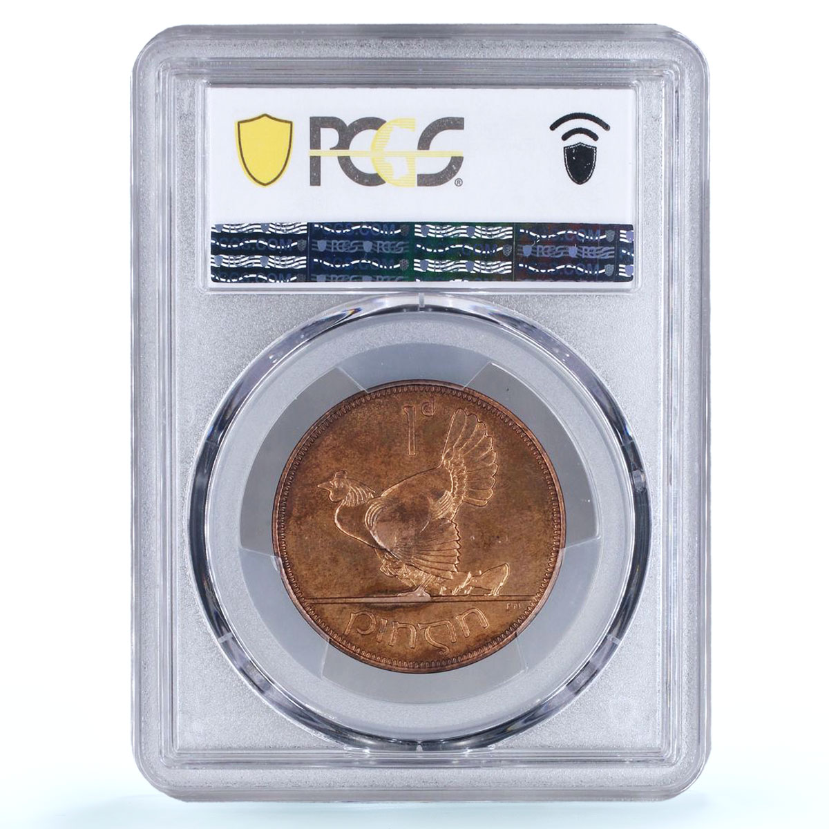 Ireland 1 penny pingin Free State Coinage Chick Bird PR65 PCGS bronze coin 1928