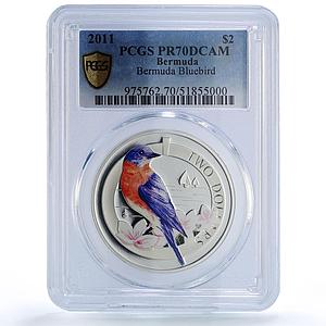 Bermuda 2 dollars Bluebird Wildlife Birds Fauna Color PR70 PCGS silver coin 2011