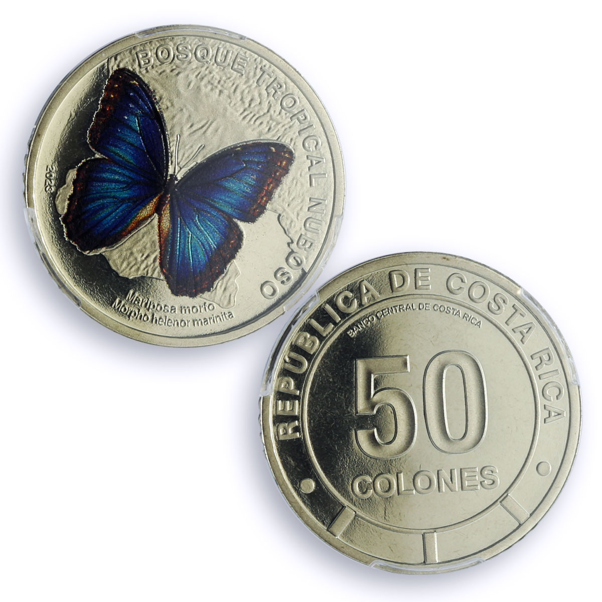 Costa Rica 50 colones Menelaus Blue Morpho Butterfly Fauna PR68 PCGS coin 2023