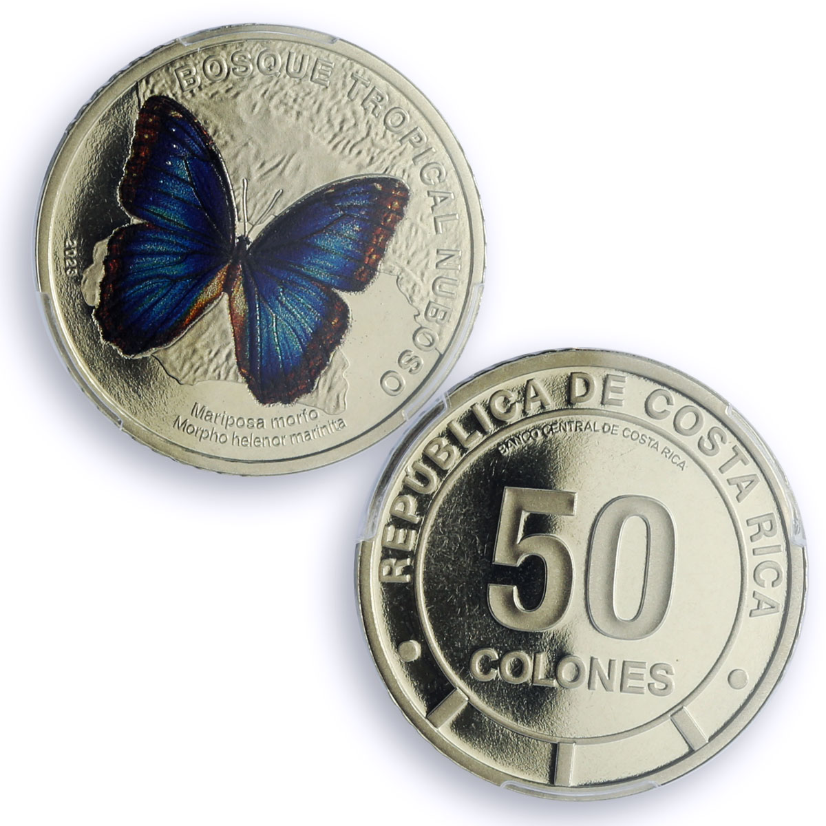 Costa Rica 50 colones Menelaus Blue Morpho Butterfly Fauna PR69 PCGS coin 2023