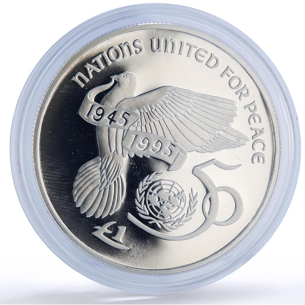 Ireland 1 pound United Nations UN Dove Birds History proof silver coin 1995