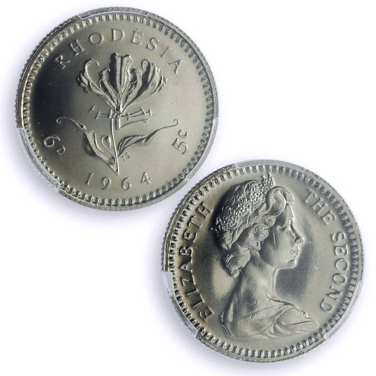 Rhodesia Various Set Elizabeth II Coinage Animals PR64 PR66 PR68 coins 1964
