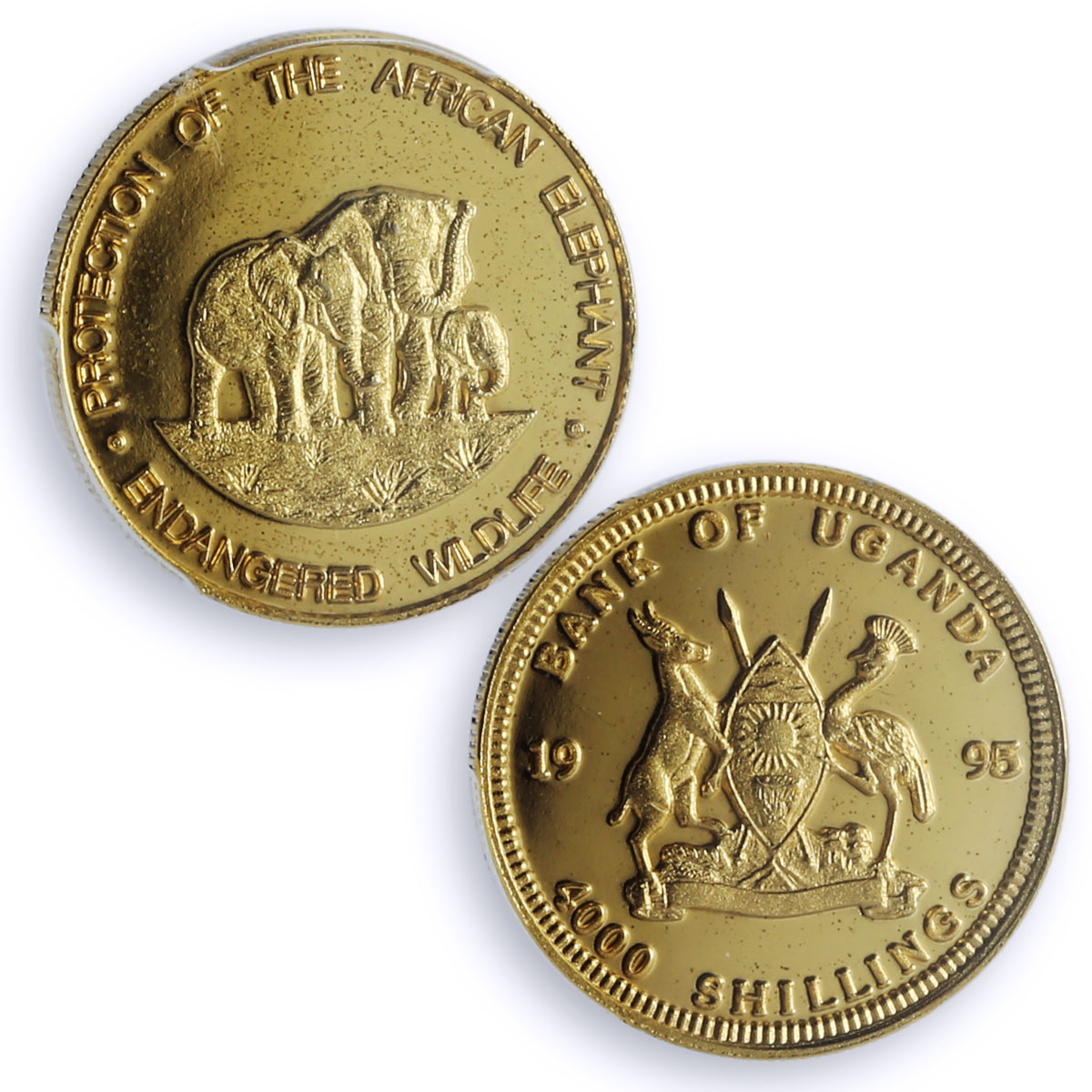Uganda 4000 shillings Elephants Wildlife Fauna Pattern SP66 PCGS brass coin 1995