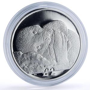 South Georgia Sandwich Islands 2 pounds Weddell Seal proof silver coin 2013