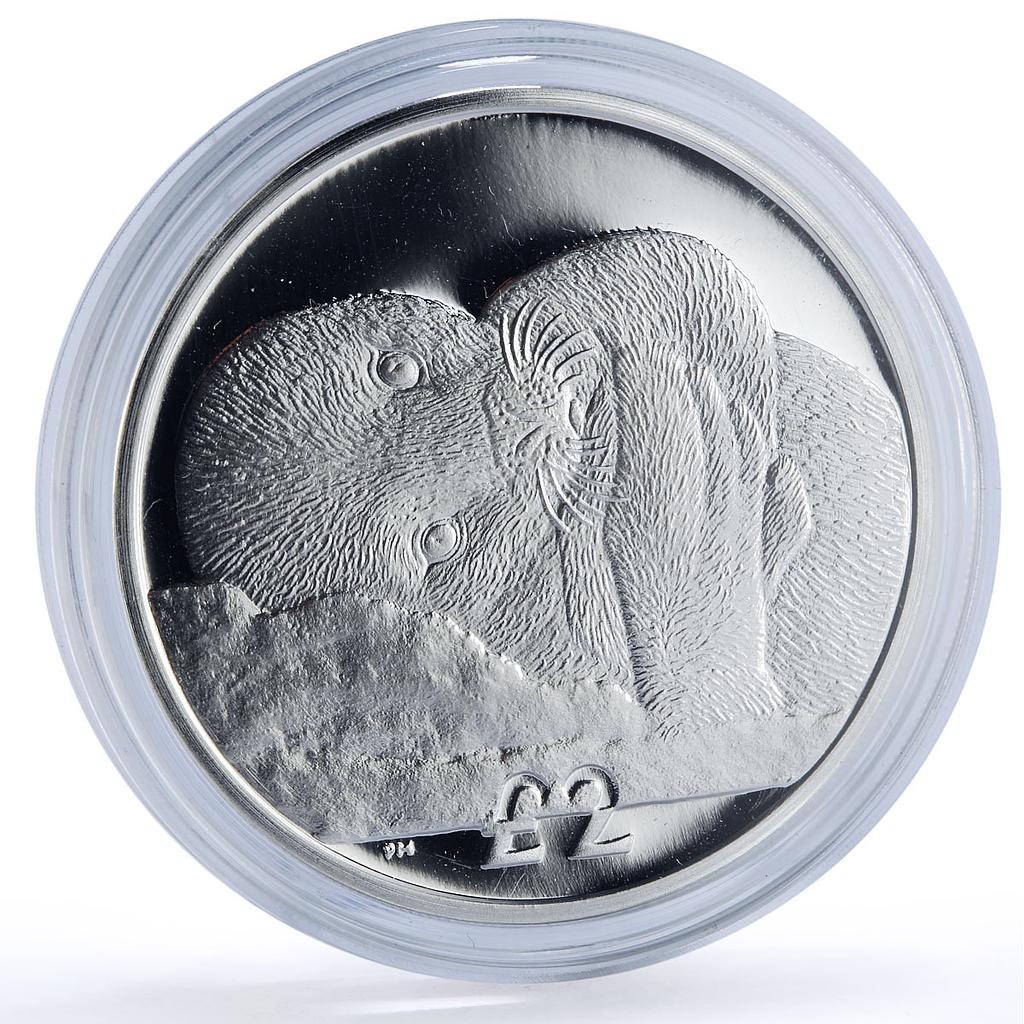 South Georgia Sandwich Islands 2 pounds Weddell Seal proof silver coin 2013