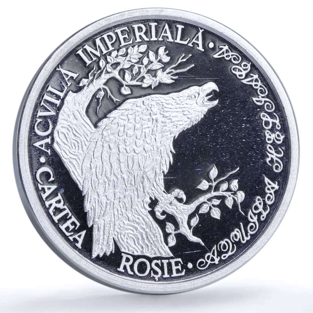 Moldova 10 lei Imperial Eagle Red Book Wildlife Bird Fauna silver coin 2005