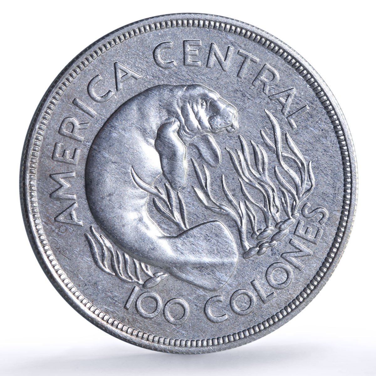 Costa Rica 100 colones Manatee Conservation Wildlife Fauna silver coin 1974