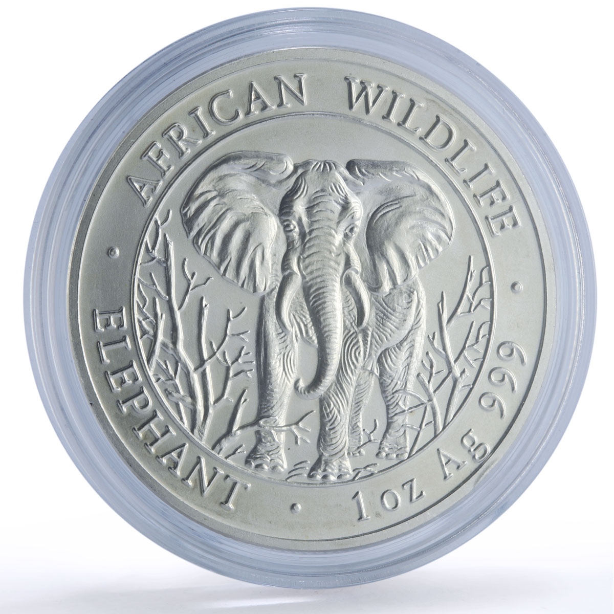 Somalia 1000 shillings Elephant African Wildlife Fauna silver coin 2004