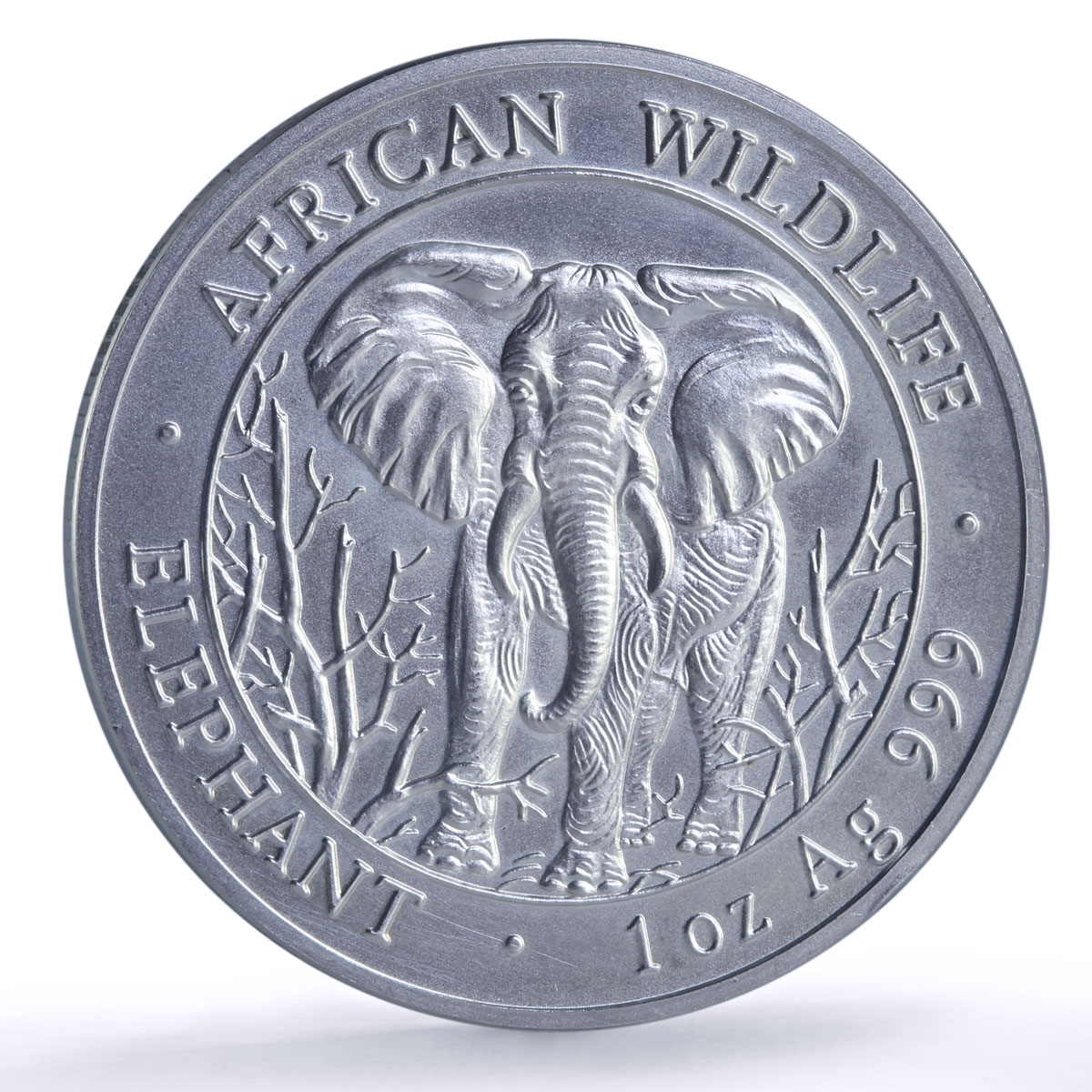 Somalia 1000 shillings Elephant African Wildlife Fauna silver coin 2004