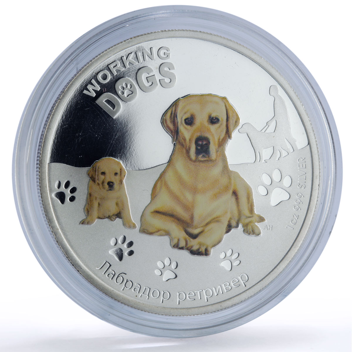 Tuvalu 1 dollar Golden Retreiver Working Dogs Color proof silver coin 2011