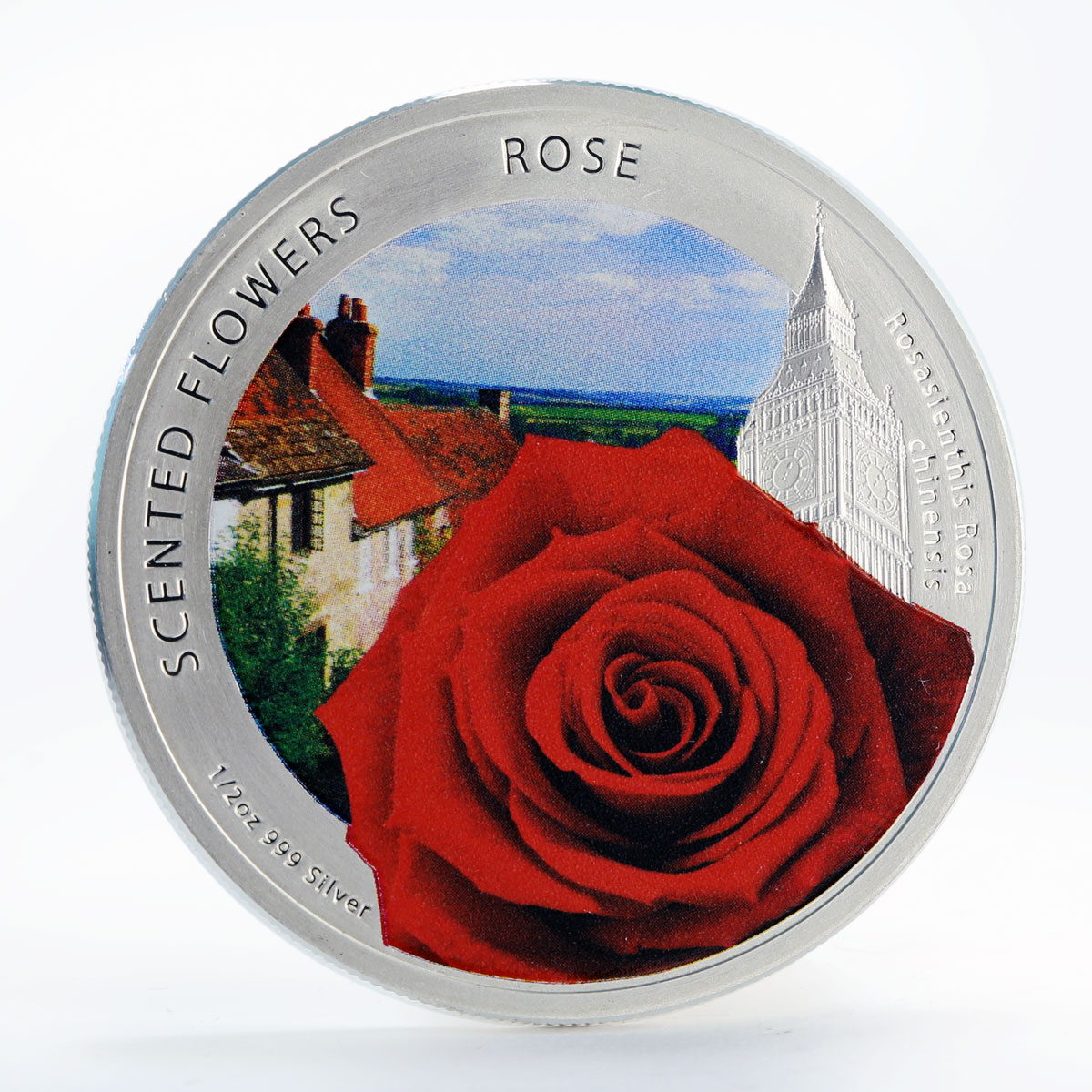 Niue 1 dollar Scented Flowers Rose colored silver coin 2013