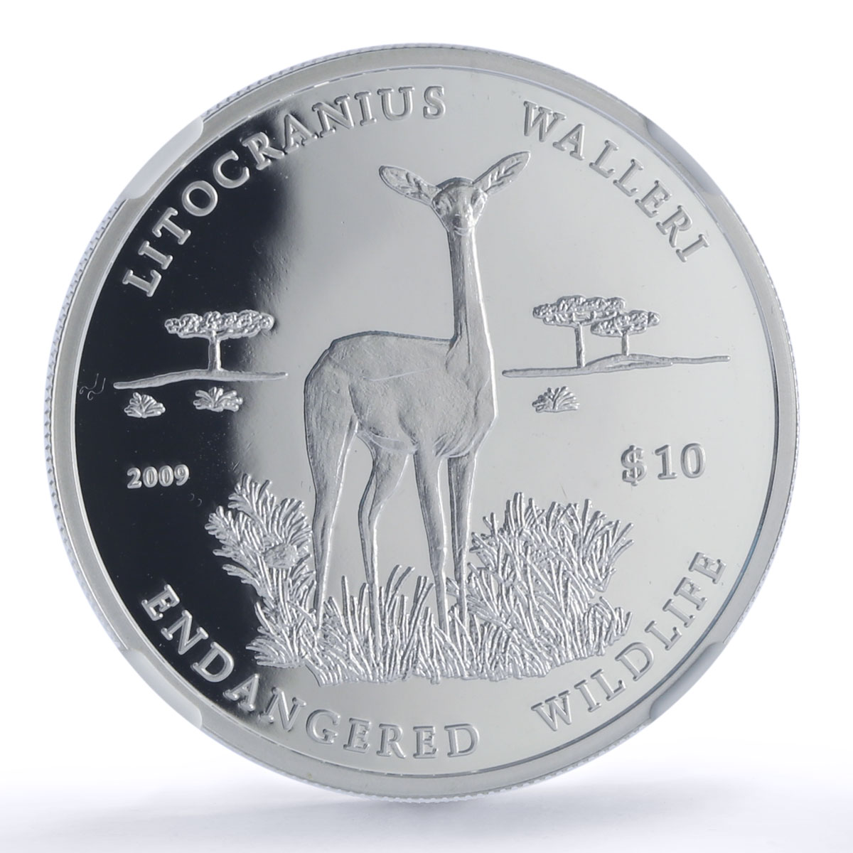Namibia 10 dollars Litocranius Walleri Wildlife Fauna PF69 NGC silver coin 2009