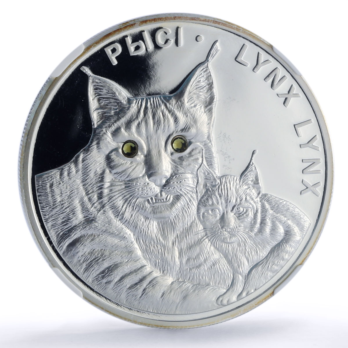 Belarus 20 roubles Lynxes Protection Wildlife Fauna PF70 NGC silver coin 2008