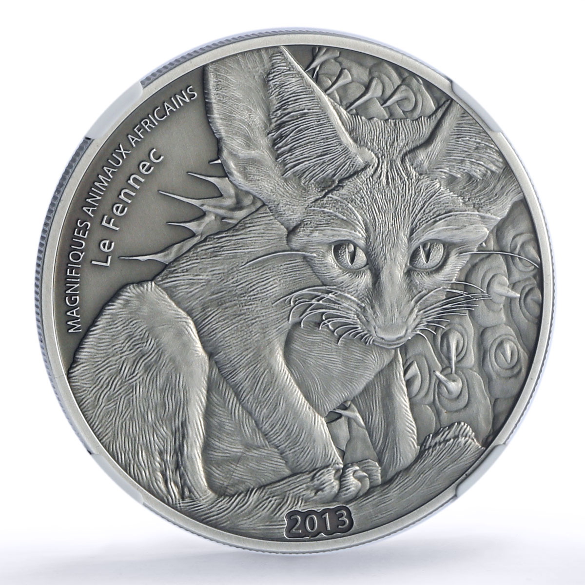 Niger 1000 francs Fennec Fox Magnificent Animals Fauna MS70 NGC silver coin 2013