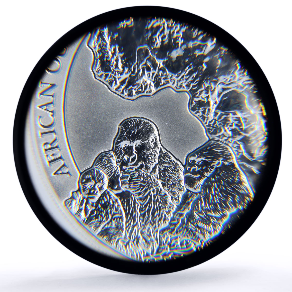 Rwanda 50 francs Gorilla African Ounce Wildlife Fauna MS70 PCGS silver coin 2008